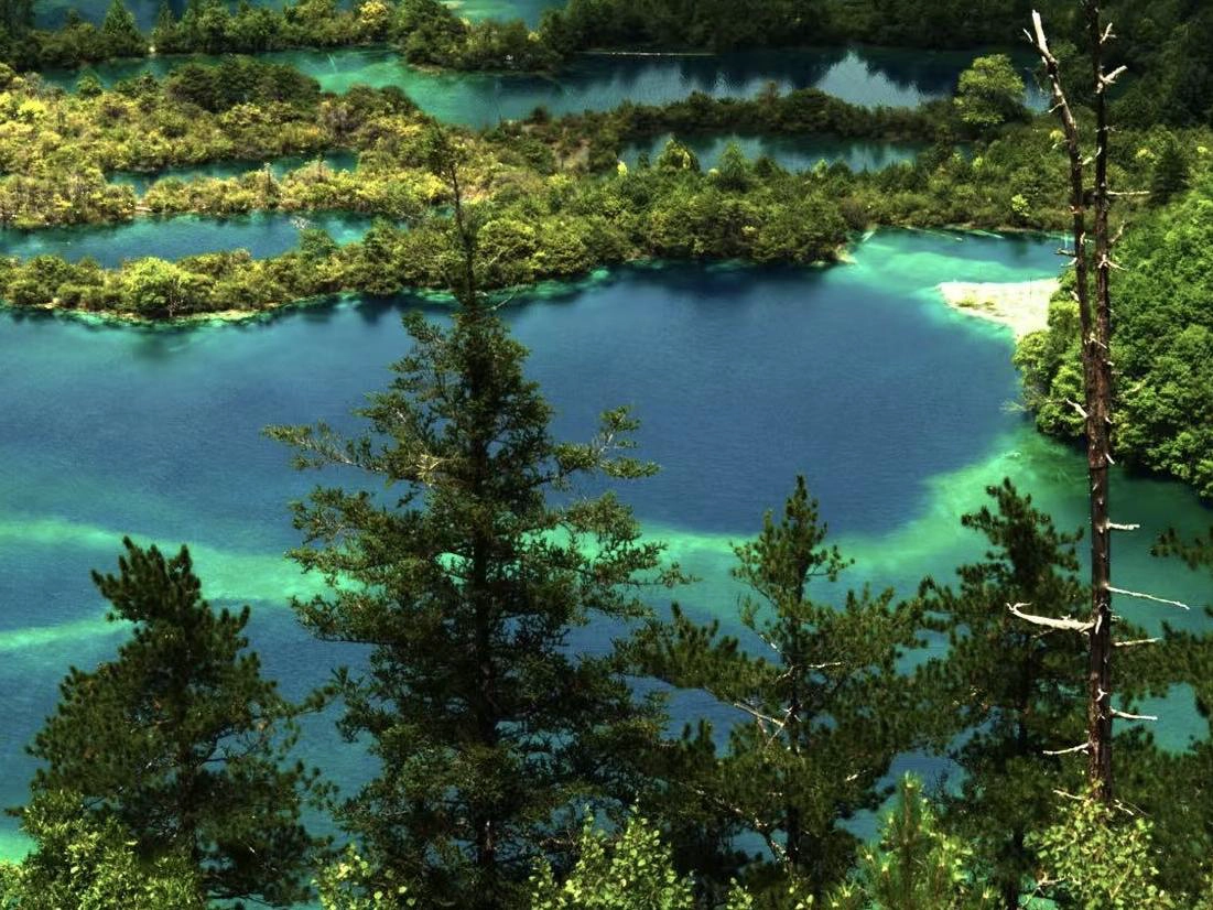 Jiuzhaigou, Sichuan, Debunks 'Dyed Water' Rumor: Science Explains Its Blue-Green Lakes